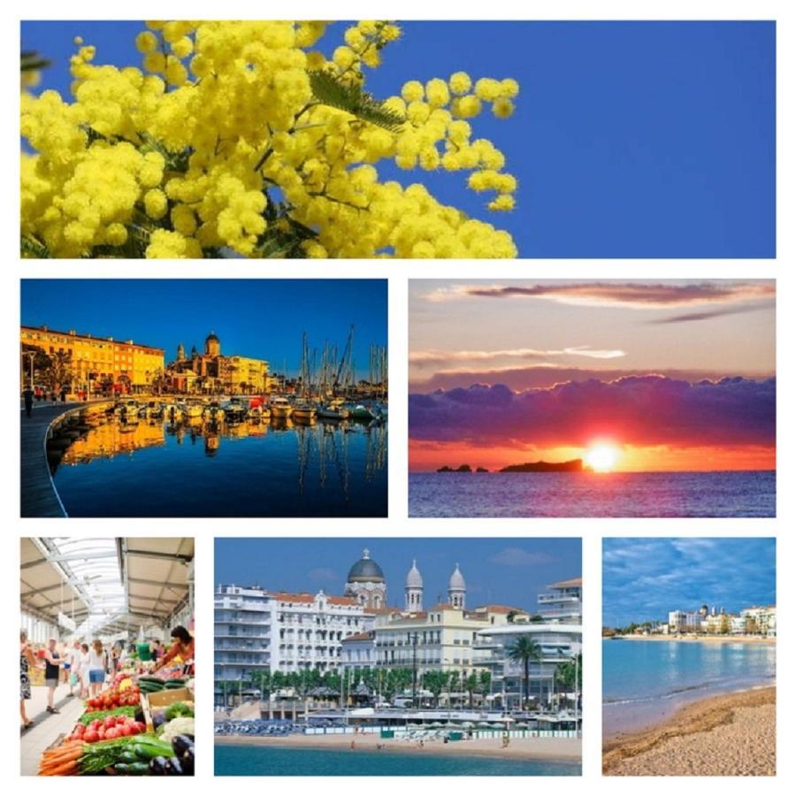 Saint-Raphaël "Ausoleil" 2 Pieces Cosy Ensoleille, Tout A Pied, 50 M Du Vieux Port מראה חיצוני תמונה